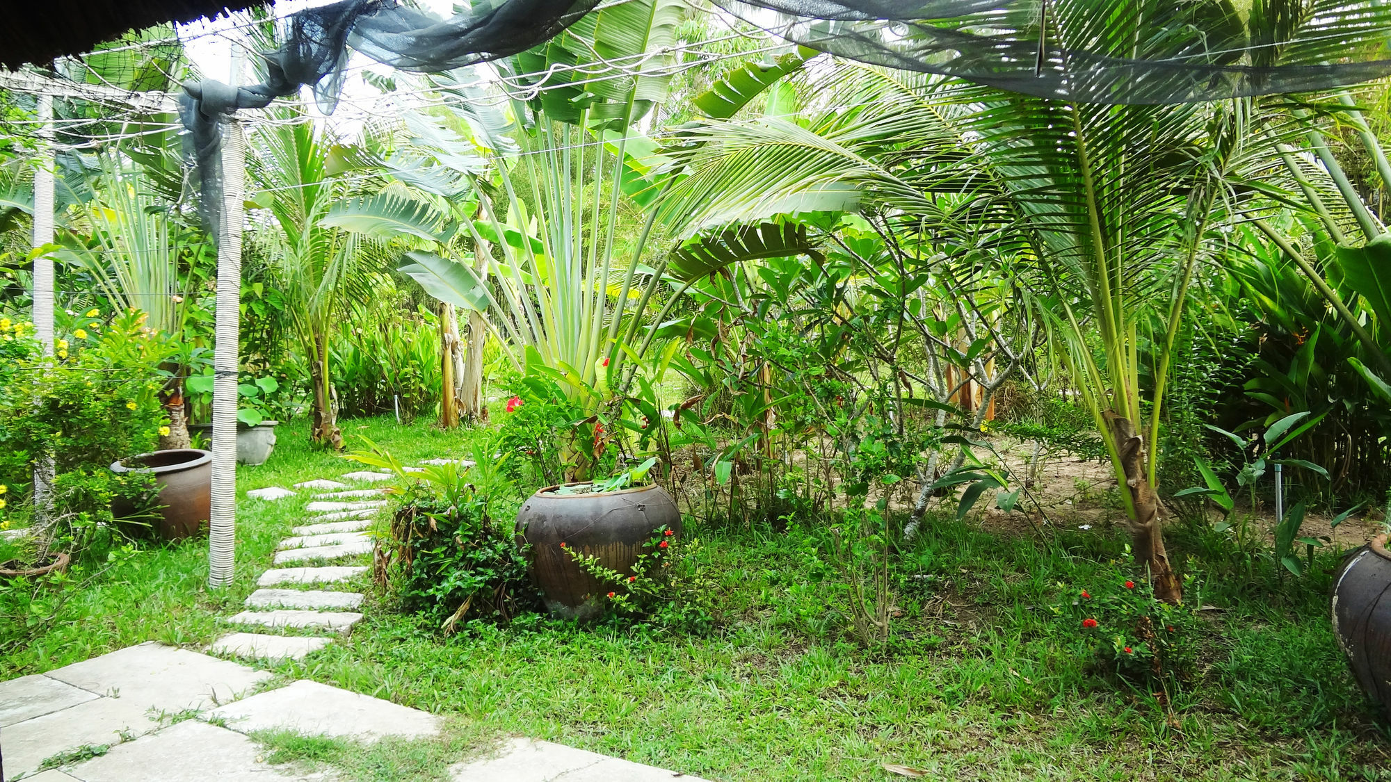 דואונג דונג Mai Spa Resort מראה חיצוני תמונה